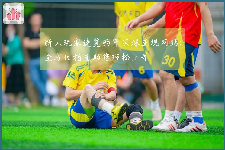 新人玩家速览西甲买球正规网站：全方位指南助您轻松上手