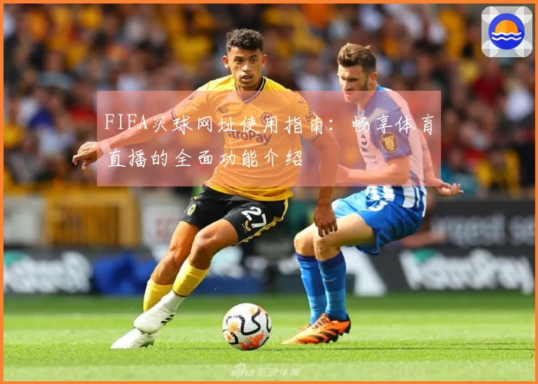 FIFA买球网址使用指南：畅享体育直播的全面功能介绍