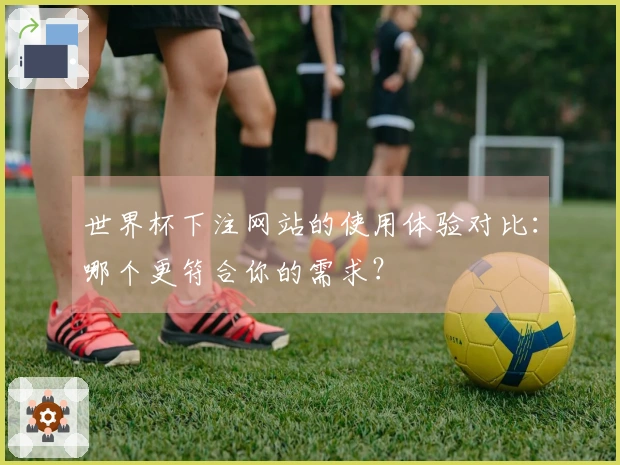 世界杯下注网站的使用体验对比：哪个更符合你的需求？