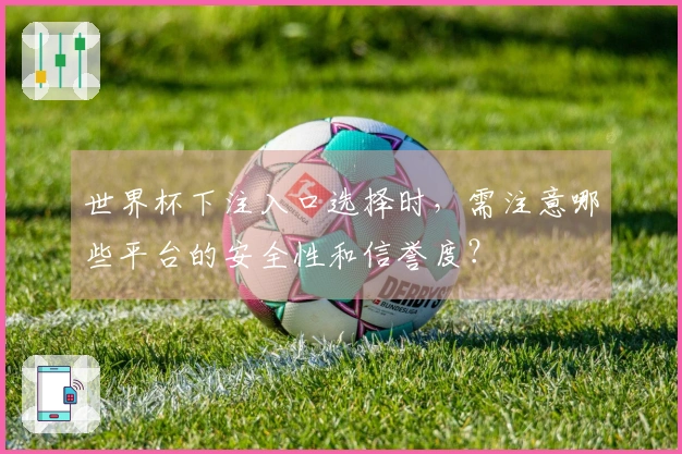世界杯下注入口选择时，需注意哪些平台的安全性和信誉度？