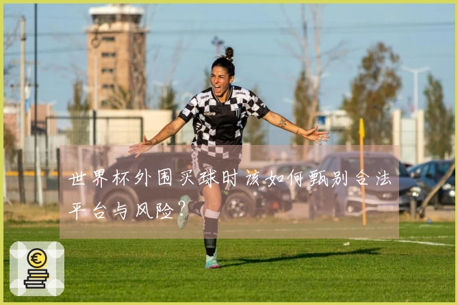 世界杯外围买球时该如何甄别合法平台与风险?