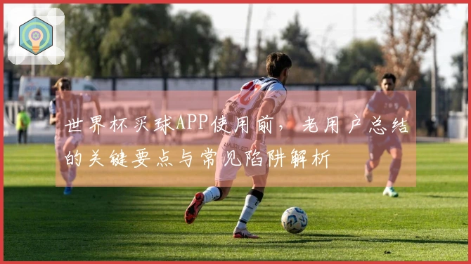 世界杯买球APP使用前，老用户总结的关键要点与常见陷阱解析