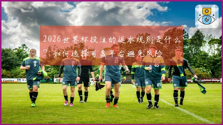 2026世界杯投注的返水规则是什么？如何选择可靠平台避免风险