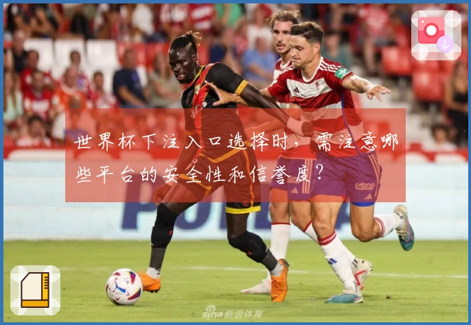 世界杯下注入口选择时，需注意哪些平台的安全性和信誉度？