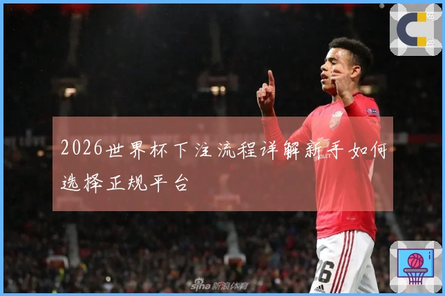 2026世界杯下注流程详解新手如何选择正规平台