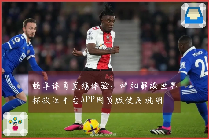 畅享体育直播体验,详细解读世界杯投注平台APP网页版使用说明