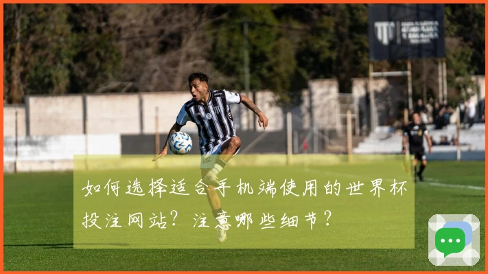 如何选择适合手机端使用的世界杯投注网站?注意哪些细节?