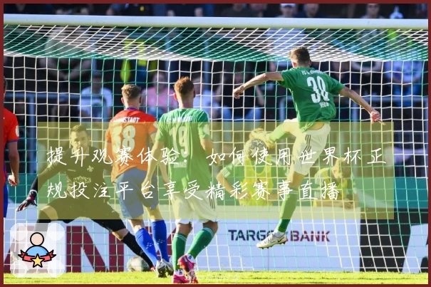 提升观赛体验：如何使用世界杯正规投注平台享受精彩赛事直播