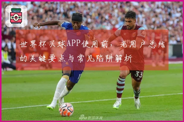 世界杯买球APP使用前，老用户总结的关键要点与常见陷阱解析