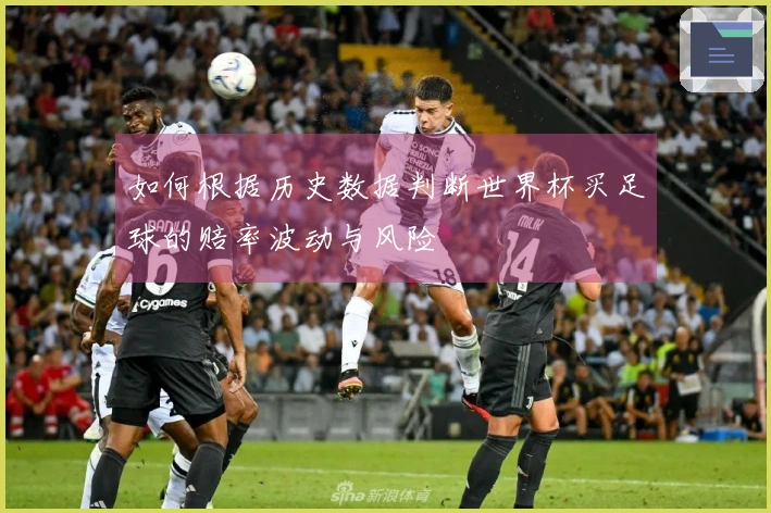 如何根据历史数据判断世界杯买足球的赔率波动与风险