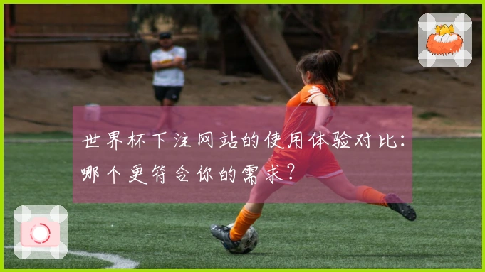 世界杯下注网站的使用体验对比：哪个更符合你的需求？