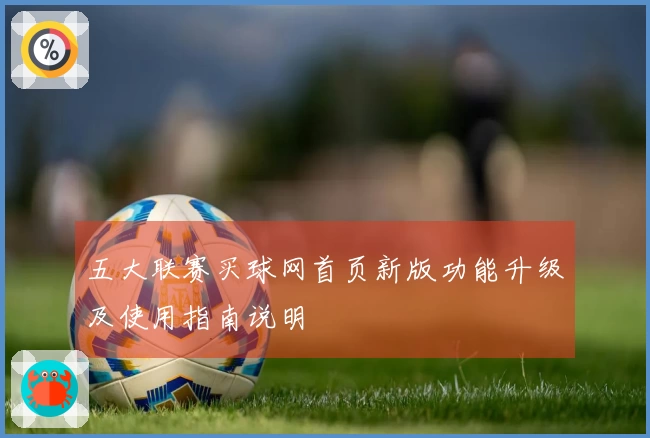 五大联赛买球网首页新版功能升级及使用指南说明