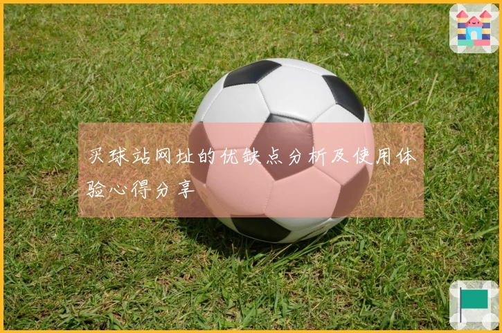 买球站网址的优缺点分析及使用体验心得分享