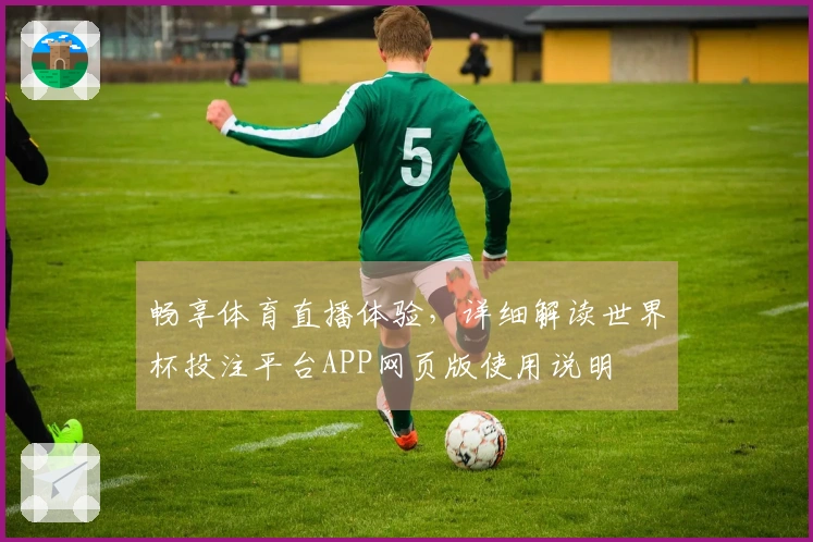 畅享体育直播体验，详细解读世界杯投注平台APP网页版使用说明
