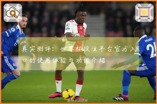 真实测评：世界杯投注平台官方入口的使用体验与功能介绍